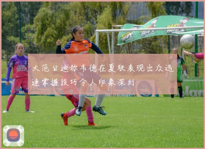 大范甘迪称韦德在夏联表现出众迅速掌握技巧令人印象深刻